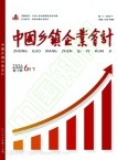 中国乡镇企业会计
